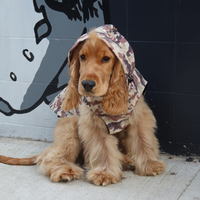 Camo Raincoat