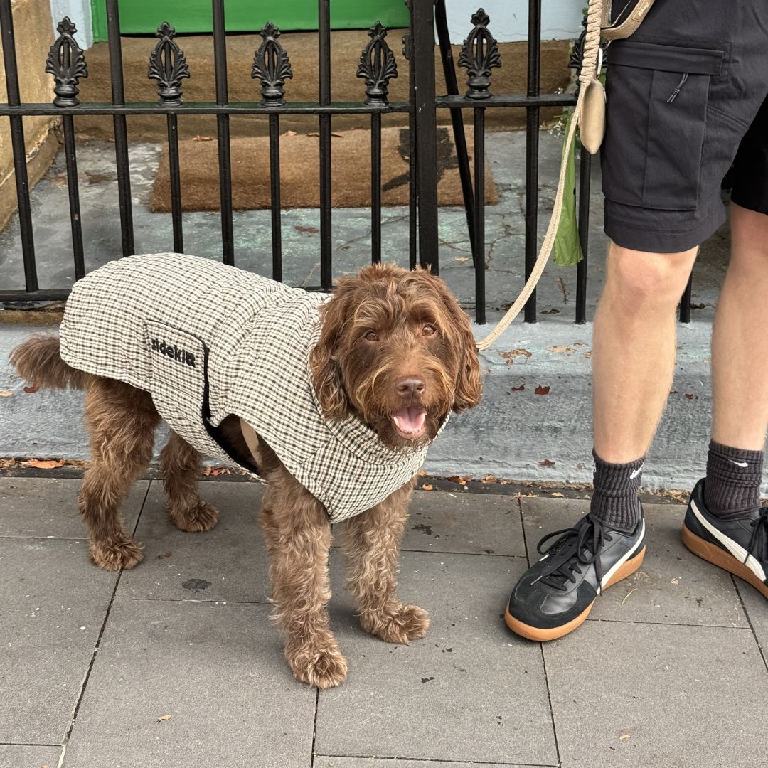 Plaid Quilted Coat