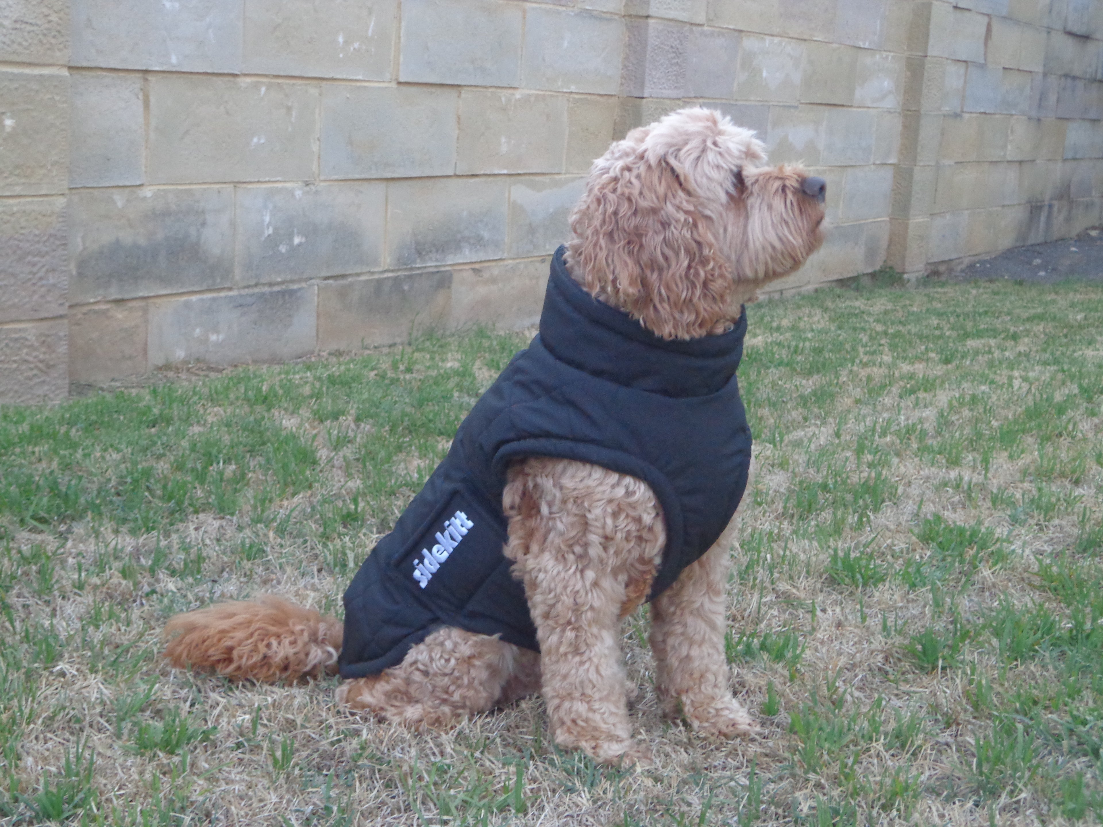 Black Puffer Jacket