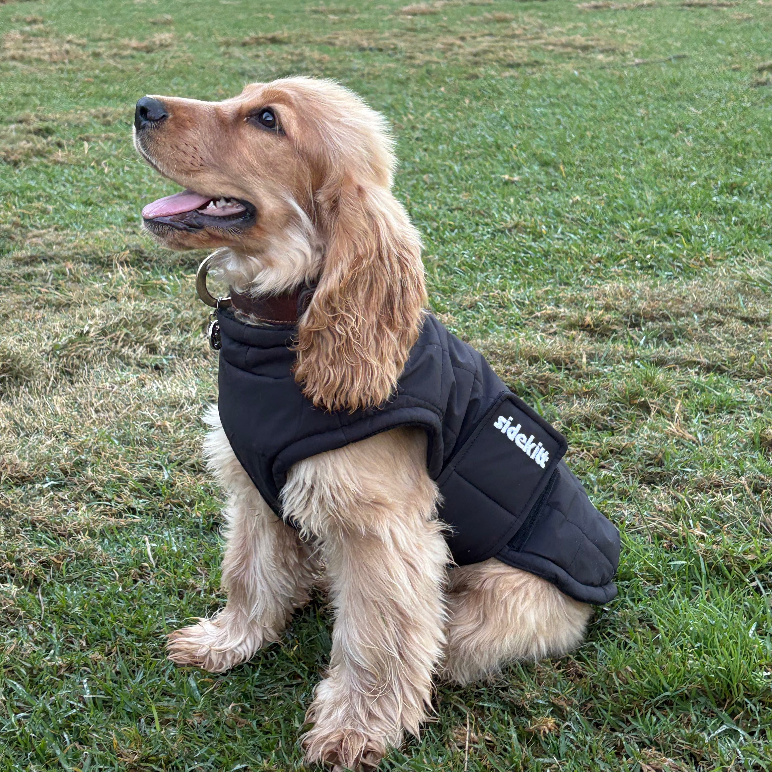 Black Puffer Jacket