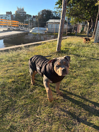 Black Puffer Jacket