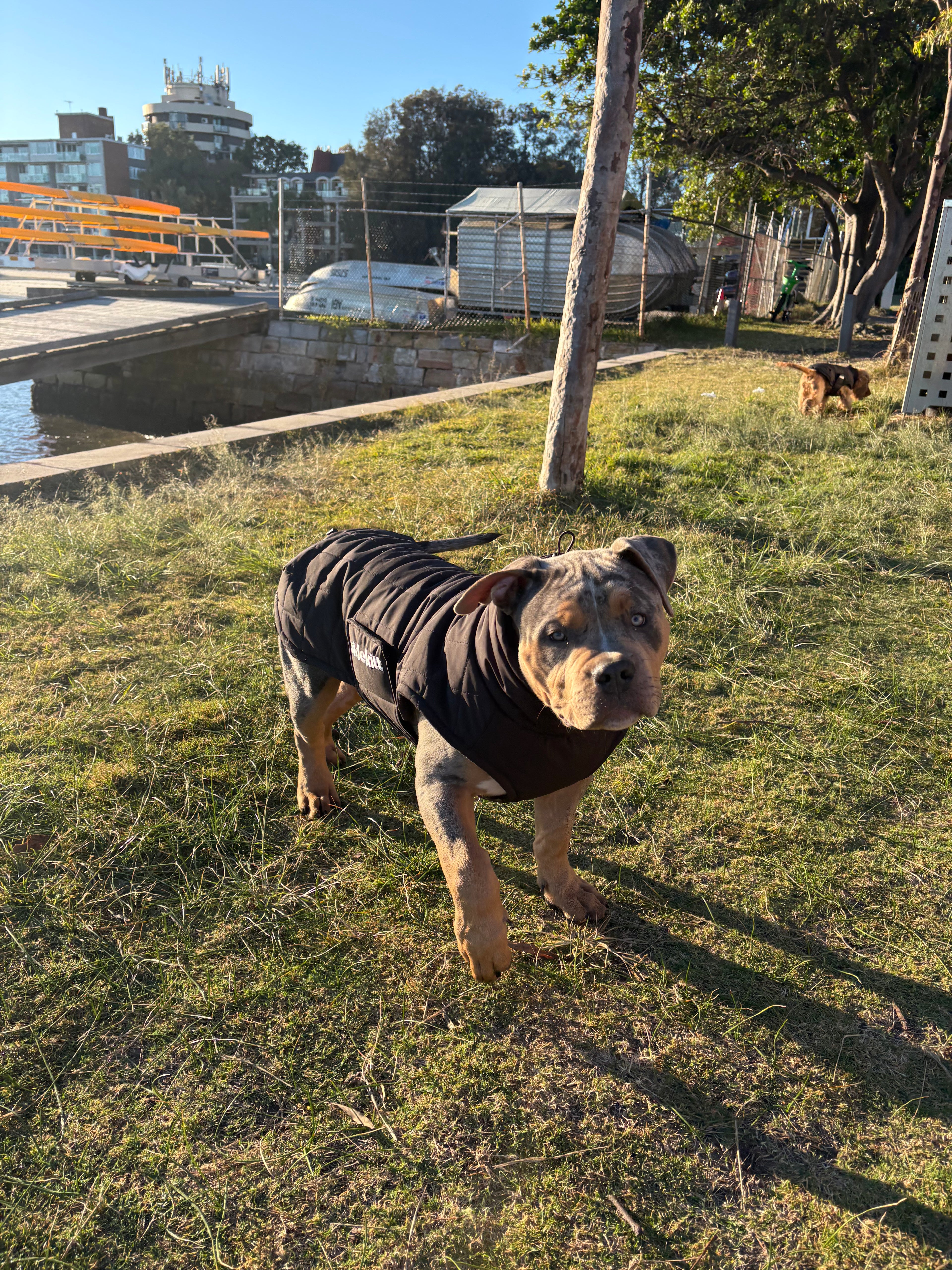 Black Puffer Jacket