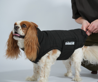Black Puffer Jacket