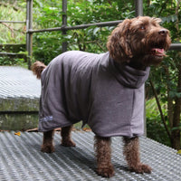 Poncho Towel