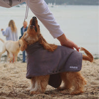 Poncho Towel